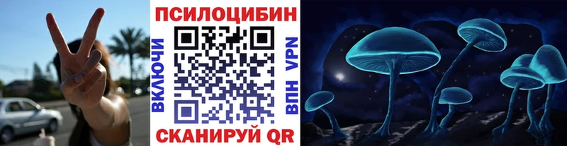 купить наркоту  Красногорск  Галлюциногенные грибы мицелий 