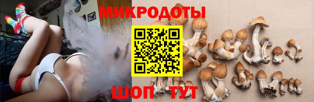 Псилоцибиновые грибы ЛСД  Псилоцибиновые грибы Magic Shrooms  Вход с VPN  Красногорск 
